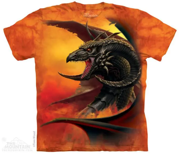 Polera de Shenlong